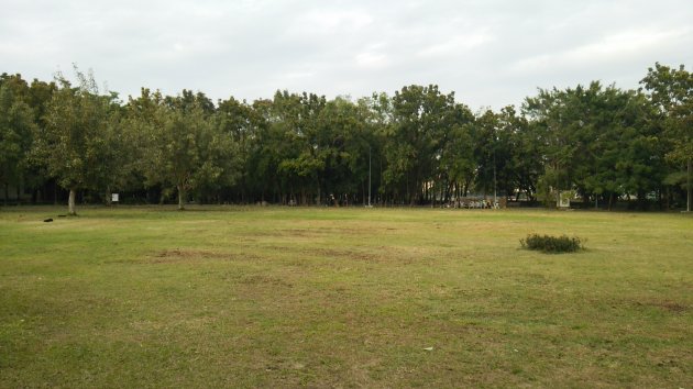 木々が生い茂っている東寧運動公園